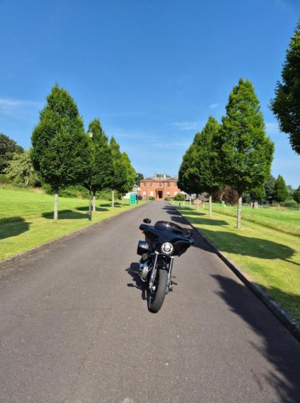 Riding down the drive under the trees
