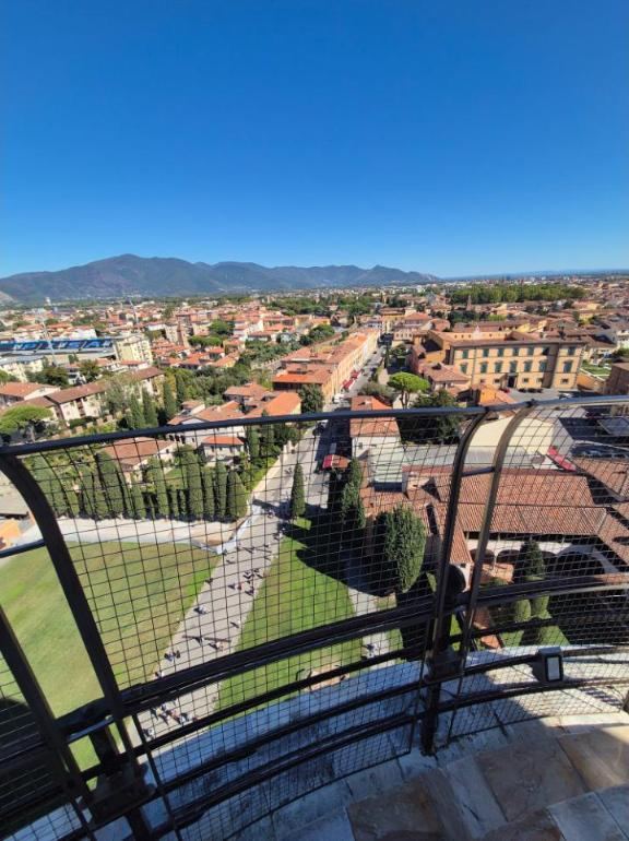 Looking down from the tower