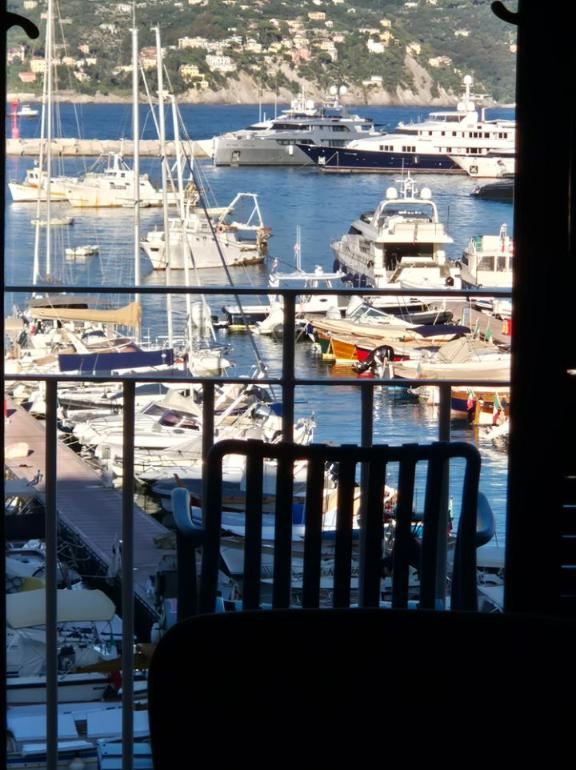 Harbour from the window