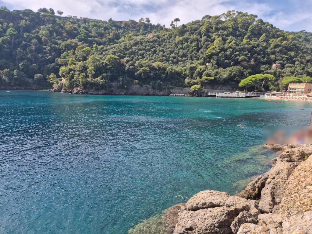 Green cove