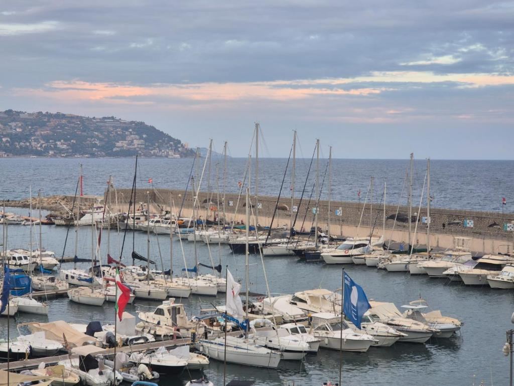 Marina at dusk