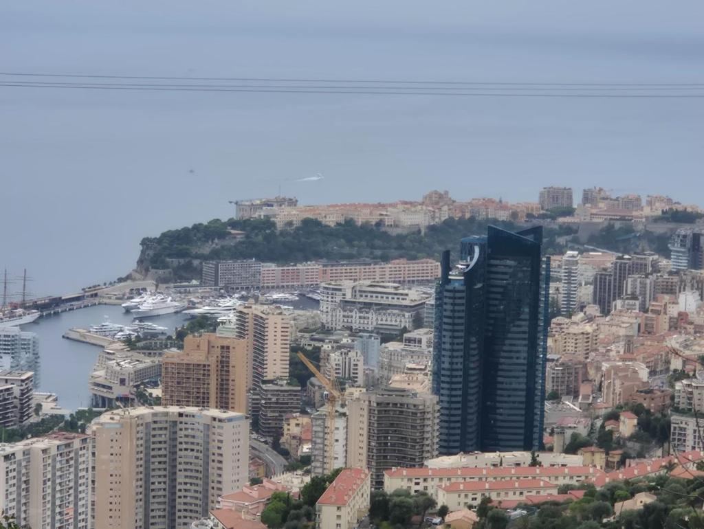 Monaco from the hill