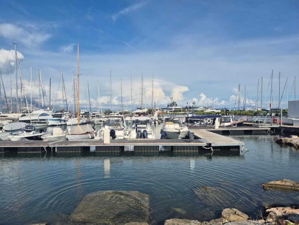 The marina