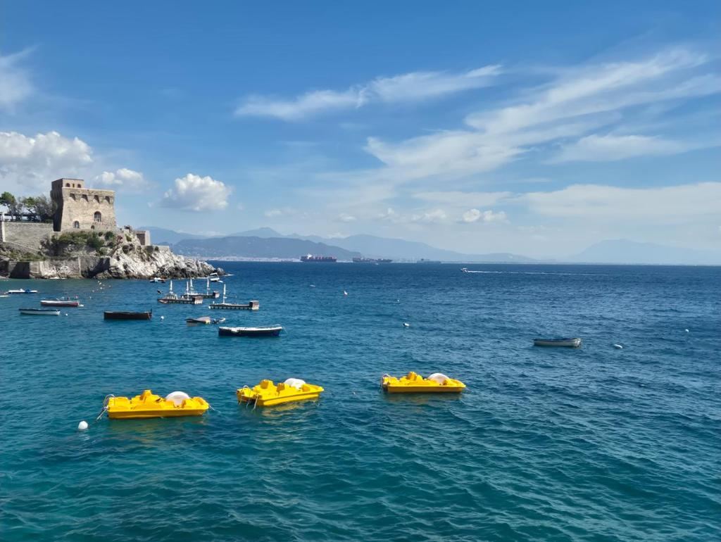 Pedalos in the bay