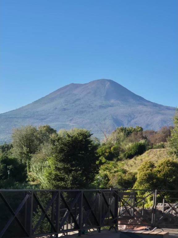 Vesuvius from the ruins