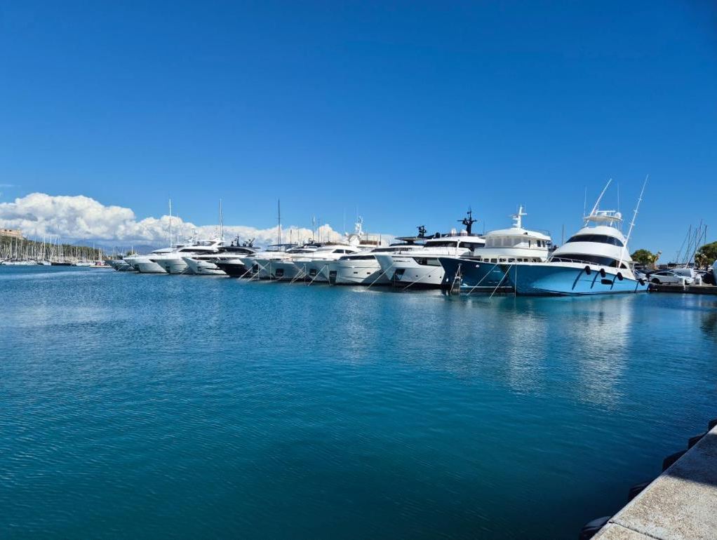Superyachts lined up in Port Vauban