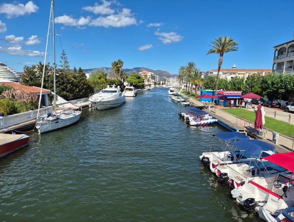 Palm trees and boats on the canal